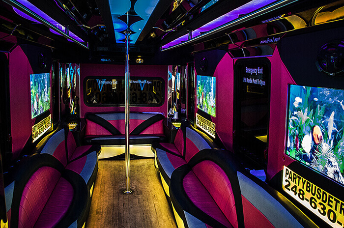 Traverse City party bus with multiple flat screen TVs 